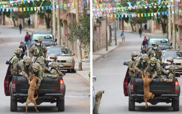 Soldados adotam cachorros de rua que os seguiam durante a ronda