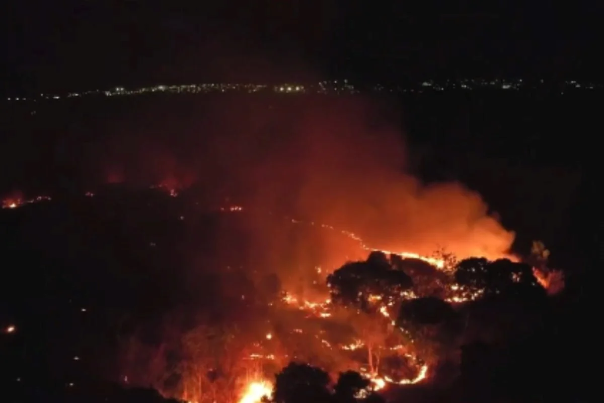 Incêndio em área da Embrapa mobiliza Exército e bombeiros em Teresina (PI) - imagem 2 Incêndio em área da Embrapa mobiliza Exército e bombeiros em Teresina (PI) - imagem 2