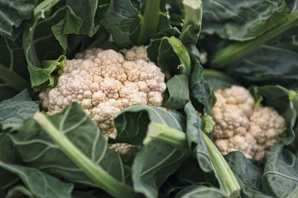 5 alimentos para melhorar a saúde da pele