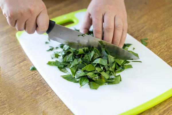 Foto colorida de pessoa cortando ora-pro-nóbis - Nutri conta como chá de ora-pro-nóbis pode ajudar a controlar glicose - Metrópoles