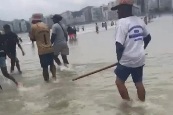 Homem segura pedaço de madeira, em praia, no limite entre a faixa de areia e o rebentar das ondas - Metrópoles