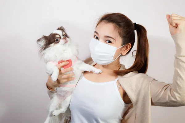 Cachorro e mulher de máscara
