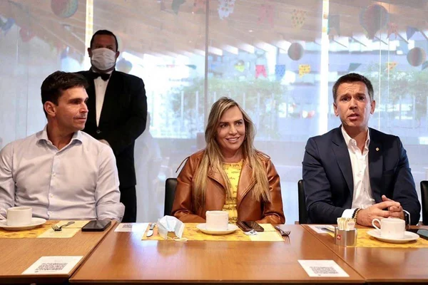 Deputada Celina Leão e deputados