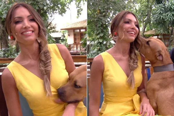 Patrícia Poeta rejeita carinho de pit-bull e é detonada na web
