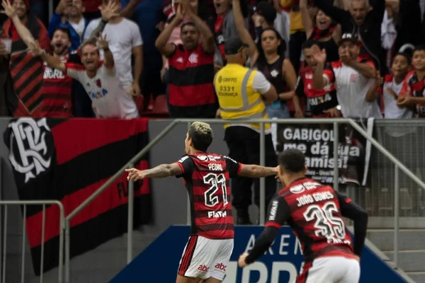 Gol de Pedro do Flamengo