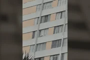 Cão morre ao cair do 13° andar de prédio e vizinhos denunciam tutora