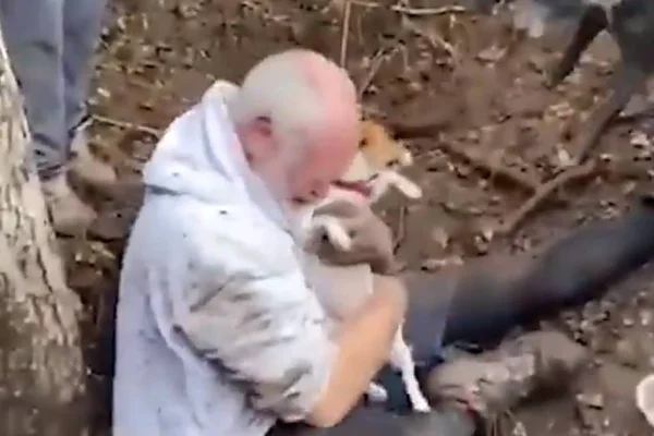 Iti malia! Idoso se emociona ao reencontrar cão perdido