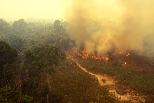 Vista aérea de um incêndio na floresta tropical amazônica. Metrópoles