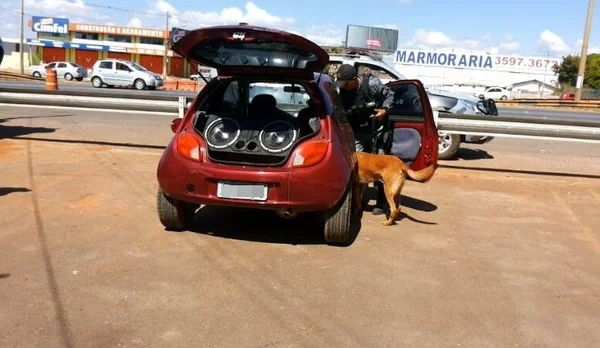 Homem com extensa ficha criminal é preso ao furar blitz na Estrutural