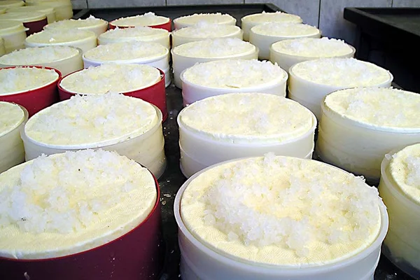 Do leite ao queijo: conheça a beleza da transformação
