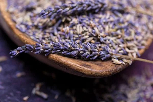 Lavanda: