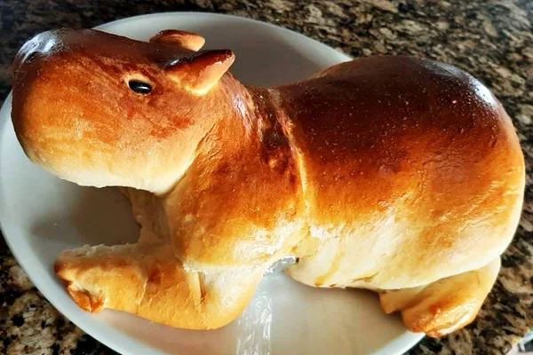 Pão de capivara, pãopivara