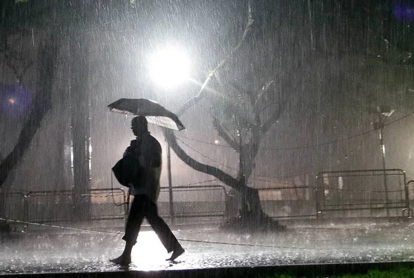Chuva derruba árvores em SP e causa apagão em Campinas