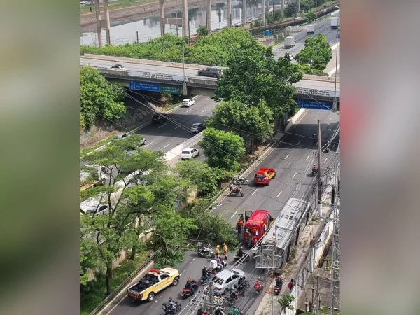 Imagem colorida mostra árvore caída no meio da Marginal Pinheiros, em São Paulo; ela acertou um motociclista que passava pelo local - Metrópoles