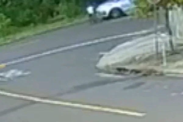 Imagem colorida de um carro atropelando duas crianças em uma bicicleta - Metrópoles
