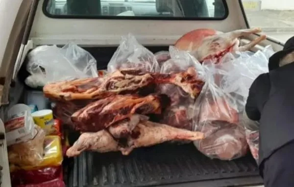 SC: quase uma tonelada de carne vencida é apreendida em supermercados