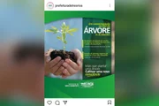 Planta confundida com pé de maconha gerou polêmica em Três Rios Planta confundida com pé de maconha gerou polêmica em Três Rios