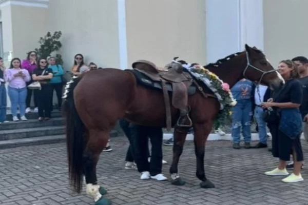 Imagem colorida da égua Bella, montada por Bábara, menina de 11 anos que morreu ao sofrer queda de cavalo em SC - Metrópoles