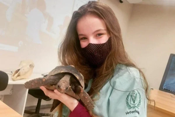 Mulher com jaleco de veterinária segura um jabuti