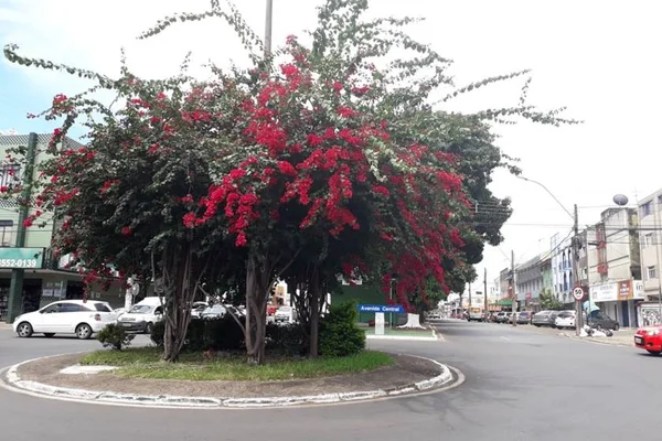 A Avenida Central é uma distração em dias tão tristes