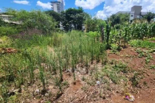Foto colorida do local onde bomba foi encontrada em Santa Catarina - Metrópoles