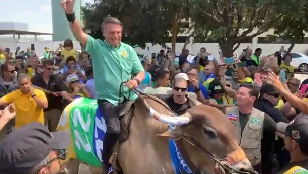 Vídeo: Bolsonaro monta em touro durante campanha em Petrolina