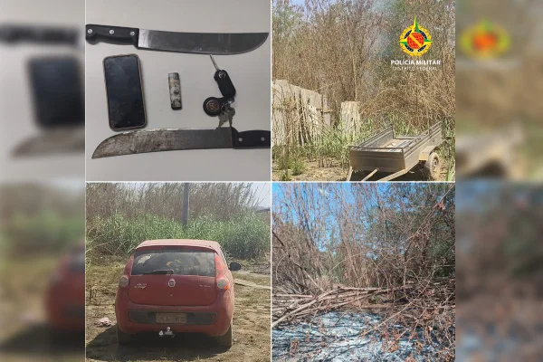 Montagem colorida de prisão de homens por atear fogo em zona de mata