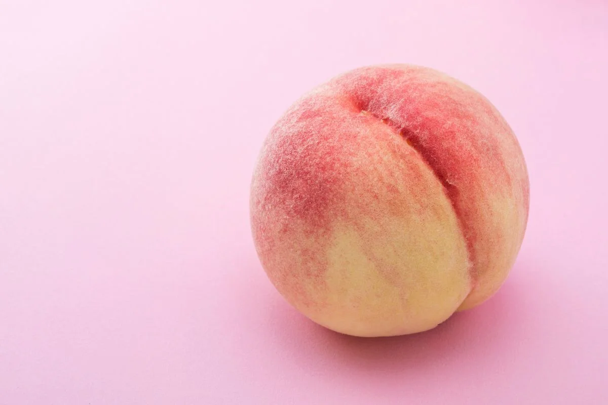 Dia do Orgasmo: 5 posições ter prazer pelo bumbum com o sexo anal
