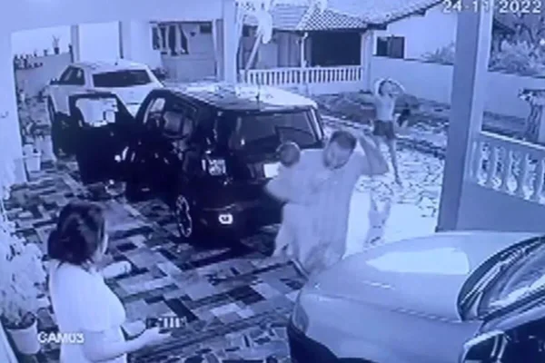 família é atacada por abelhas em sp - metrópoles