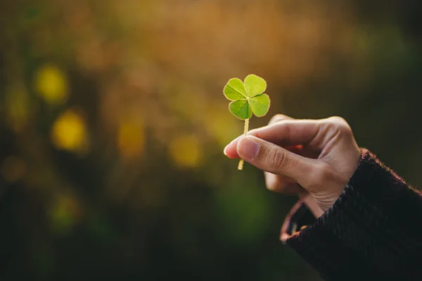 Para a cura emocional, veja a cor e número da sorte de cada signo