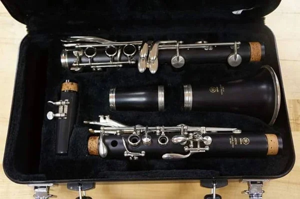 Aluno da UnB tem clarineta roubada dentro do campus