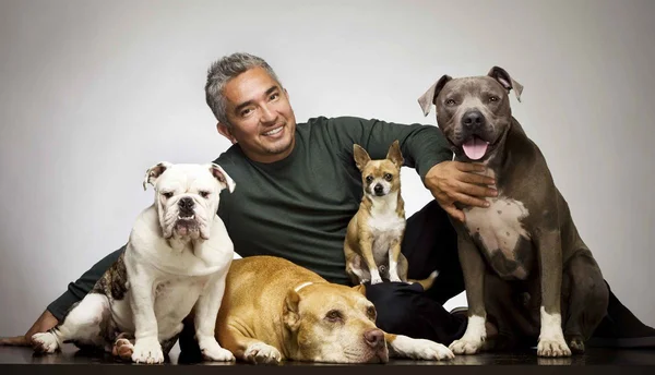 Cesar Millan, o “Encantador de cães”, é investigado nos EUA por maus tratos a animais