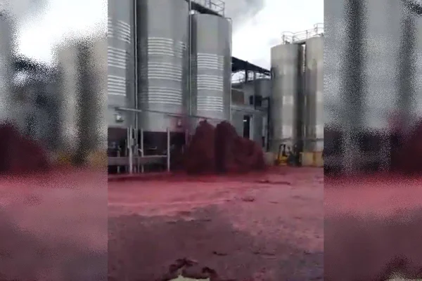 Tanque de vinho