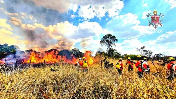 Bombeiros combatendo incêndio em vegetação - Metrópoles