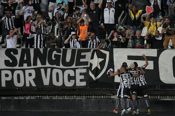 Botafogo vence Avaí, encerra série de derrotas e sai do Z-4
