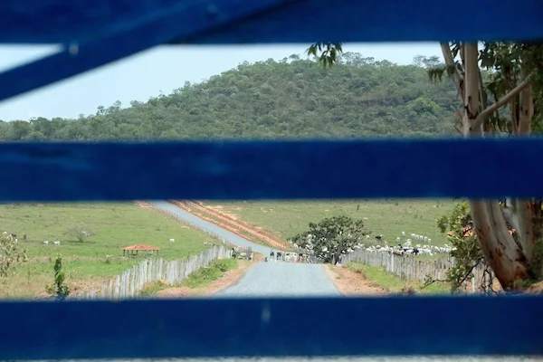 Liliane Roriz pega carona em obra pública para levar asfalto até a sede de sua fazenda