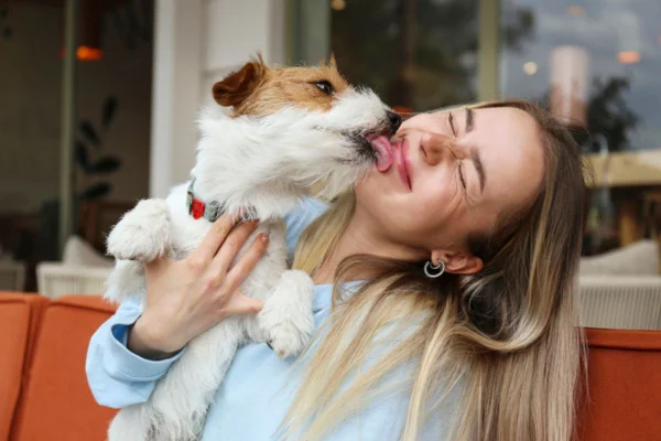 Imagem colorida de cachorro lambendo mulher no rosto