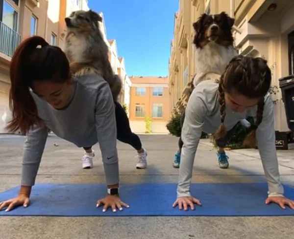 duas mulheres fazendo prancha com cachorros em cima delas