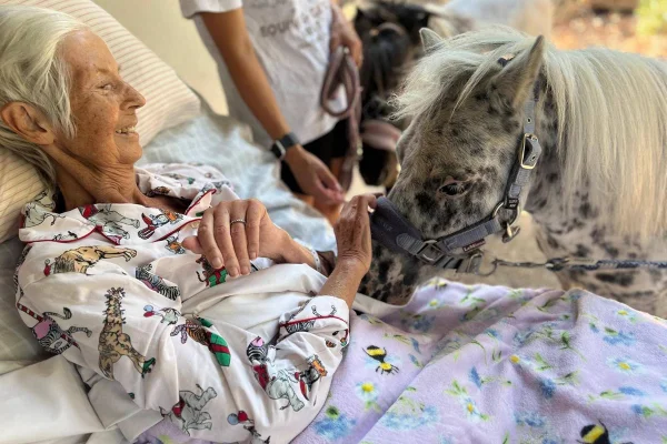 Mulher com câncer terminal realiza último desejo: “Sentir cheiro de cavalo”