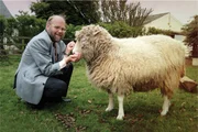 Ovelha Dolly e o cientista Ian Wilmut
