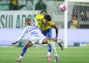 Palmeiras abriu um ponto do Flamengo Palmeiras abriu um ponto do Flamengo
