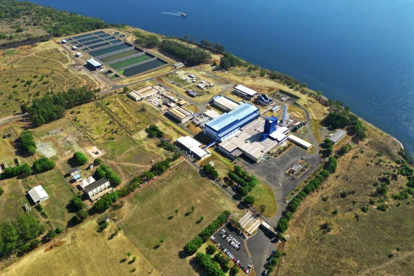 Produção do Genu-in® Life Skin é realizada na fábrica em Presidente Epitácio (SP)