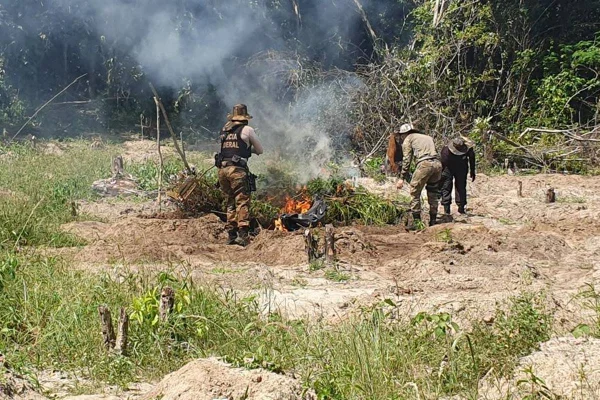 Imagem colorida de droga queimada em território indígena Alto do Rio Guamá