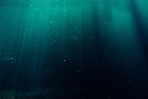 Fundo do oceano
