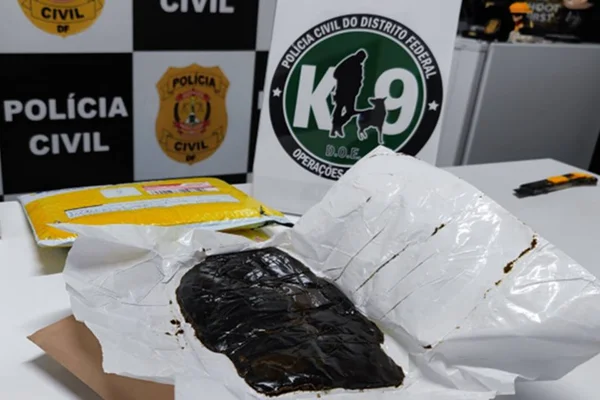 Porção de droga recolhida pela PCDF
