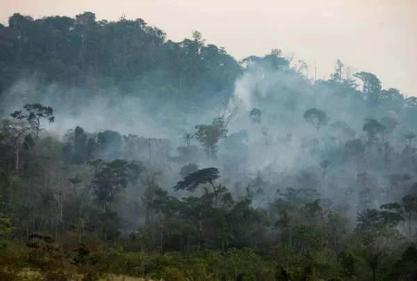 Empresas e sociedade civil se reúnem para formular nova meta climática para o Brasil