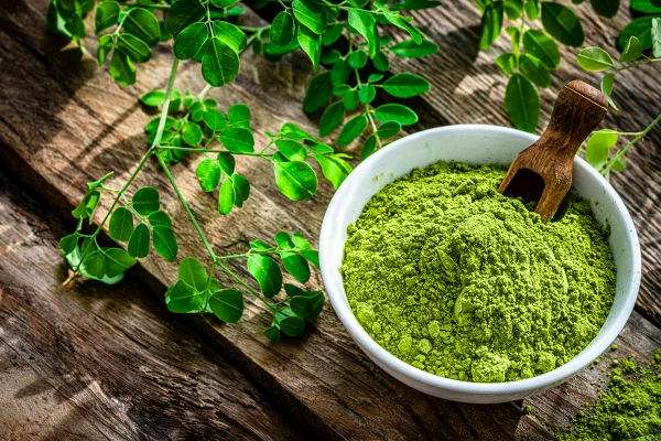 Foto colorida de planta e bowl com pó verde dentro - Metrópoles