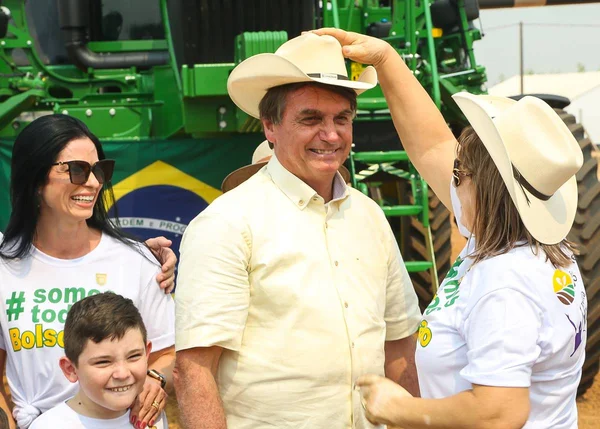 Alemanha, França e EUA compraram madeira de desmatamento no Brasil