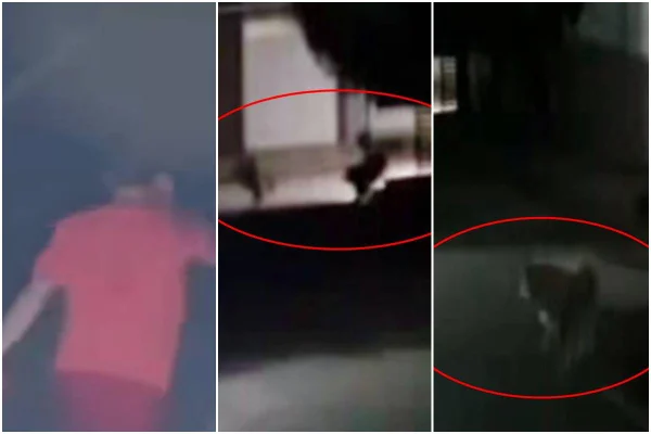 Veja momento em que procurador-geral é executado a tiros ao andar com cachorro