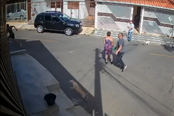 Imagem de tiroteio entre vizinhos